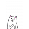 RIPNDIP